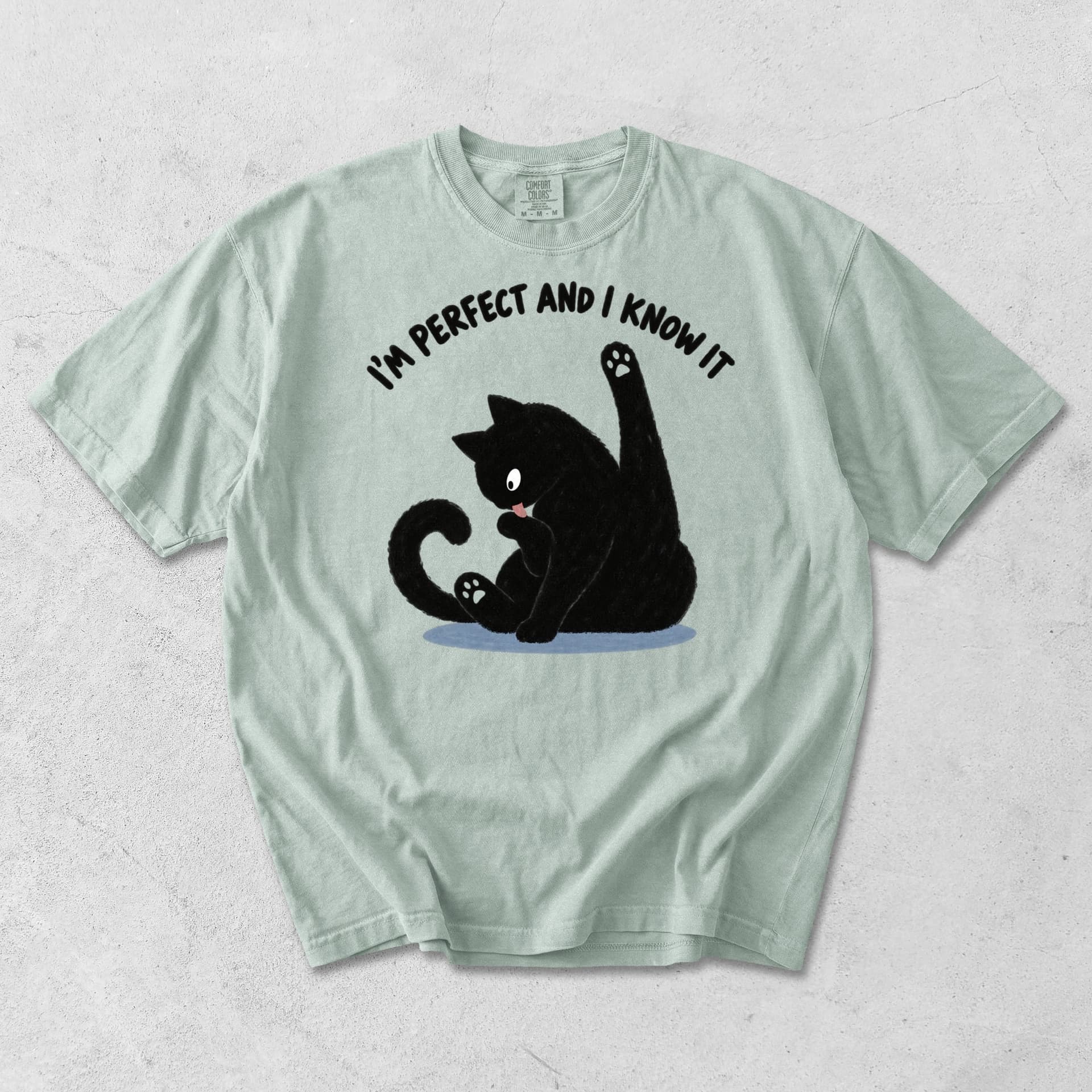 I'm Perfect and I Know It Black Cat Funny T-Shirt