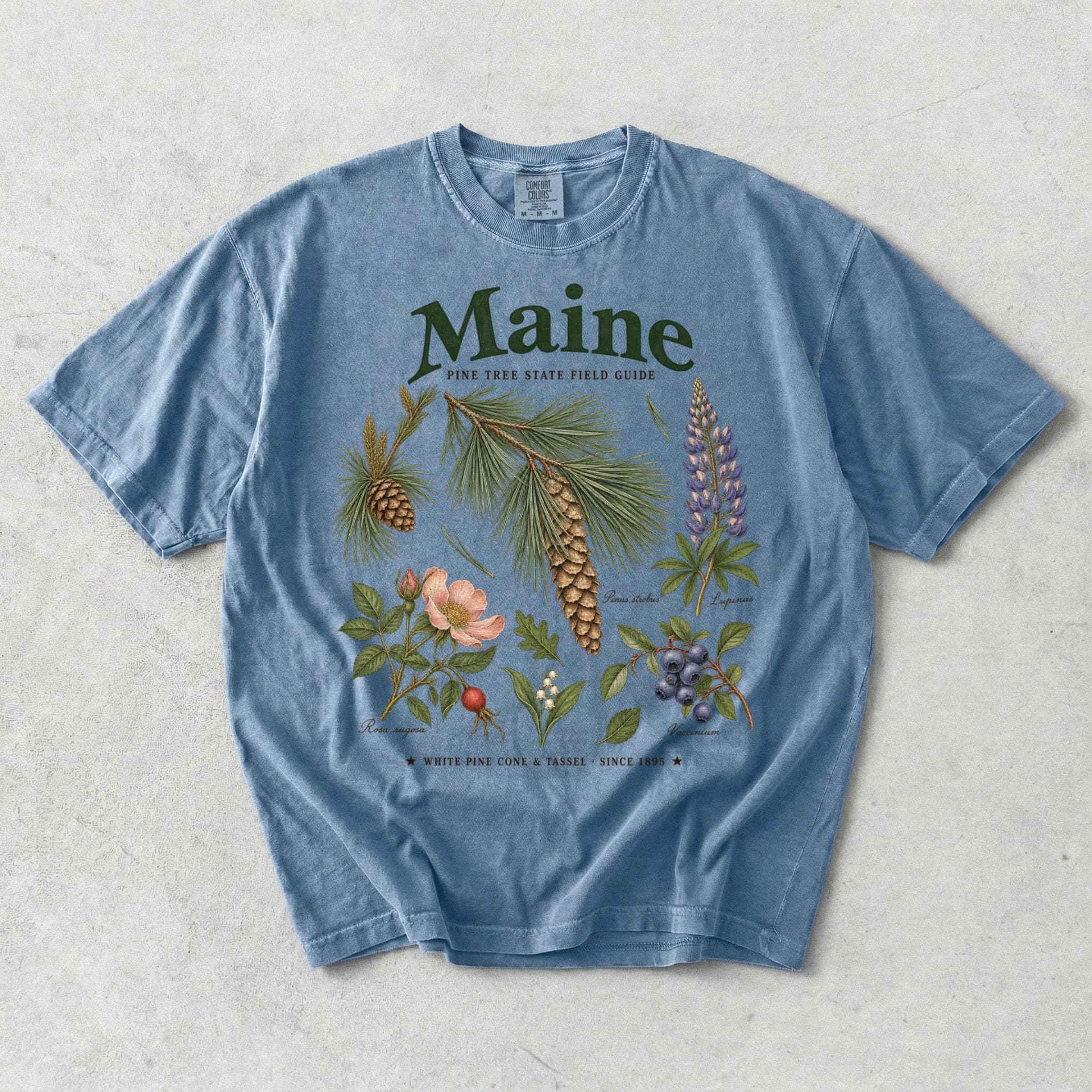 Maine Pine Tree State Field Guide T-Shirt — Blue Jean